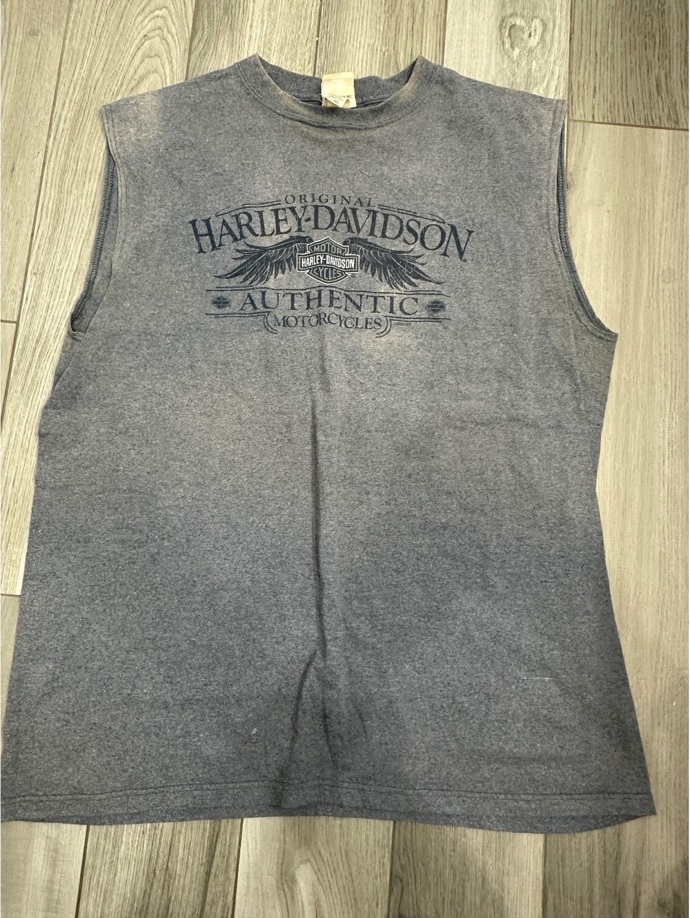 Y2K Harley-Davidson Authentic Sleeveless T-Shirt Southern Thunder Horn Lake MS